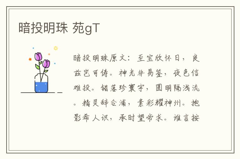 暗投明珠 苑gT