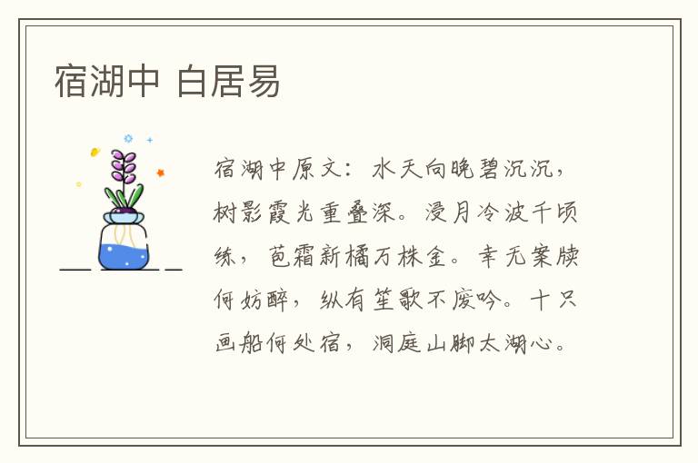 宿湖中 白居易