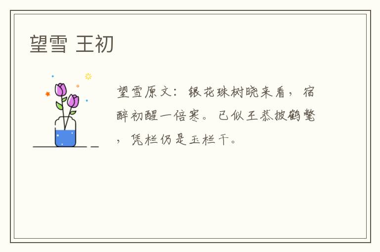望雪 王初