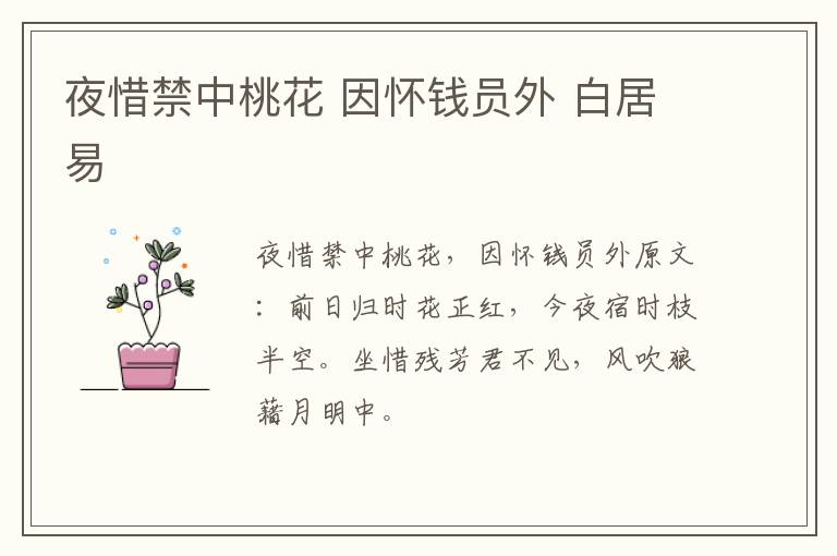 夜惜禁中桃花 因怀钱员外 白居易