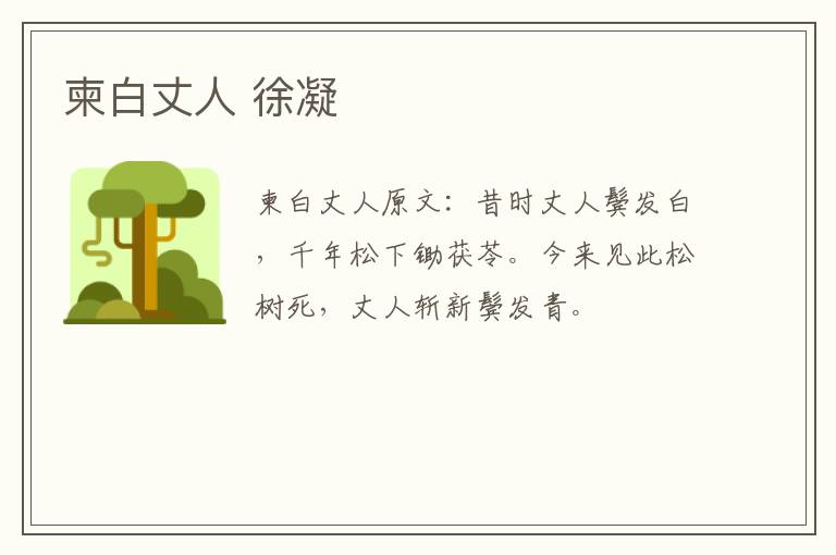 柬白丈人 徐凝