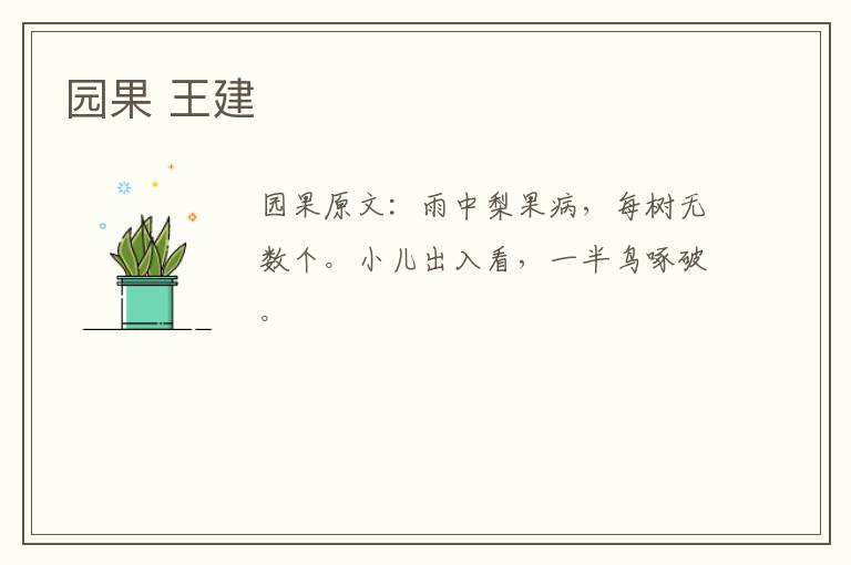 园果 王建