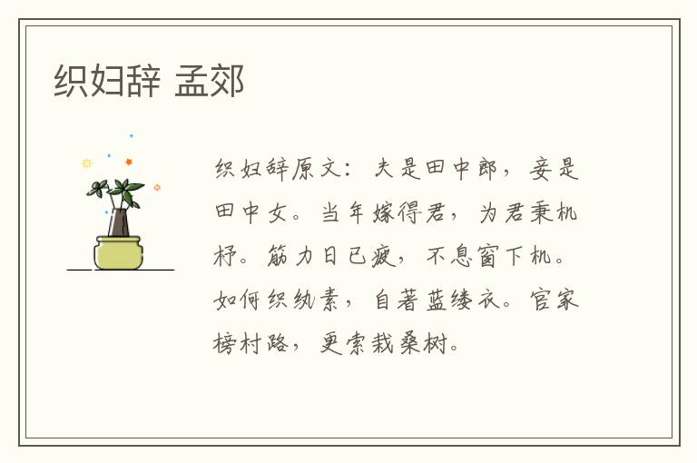织妇辞 孟郊