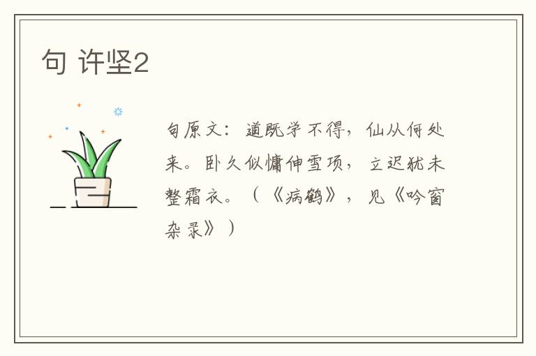 句 许坚2