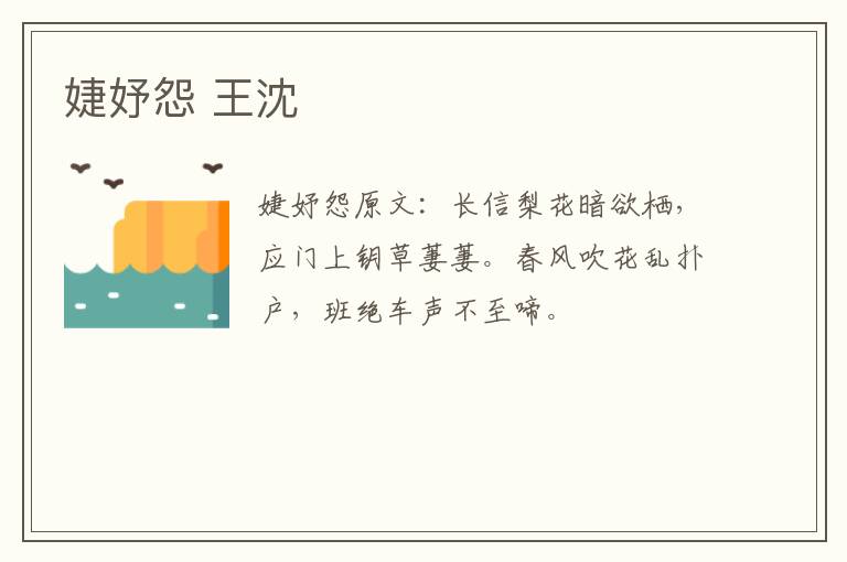 婕妤怨 王沈