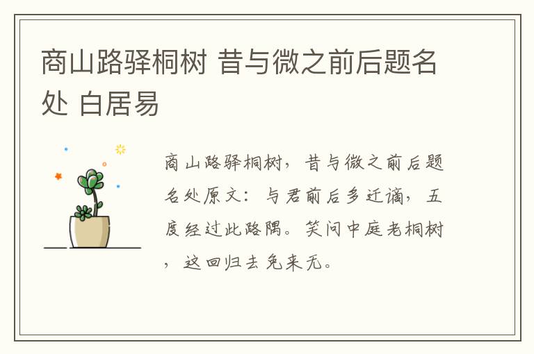 商山路驿桐树 昔与微之前后题名处 白居易
