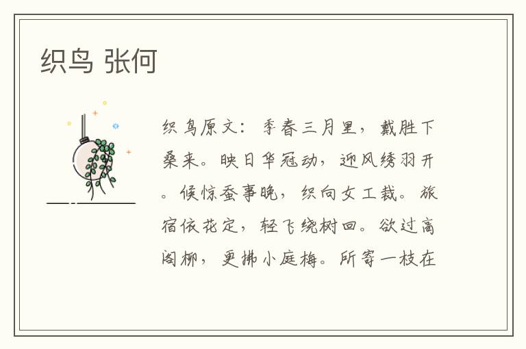 织鸟 张何
