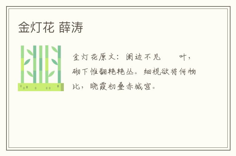 金灯花 薛涛