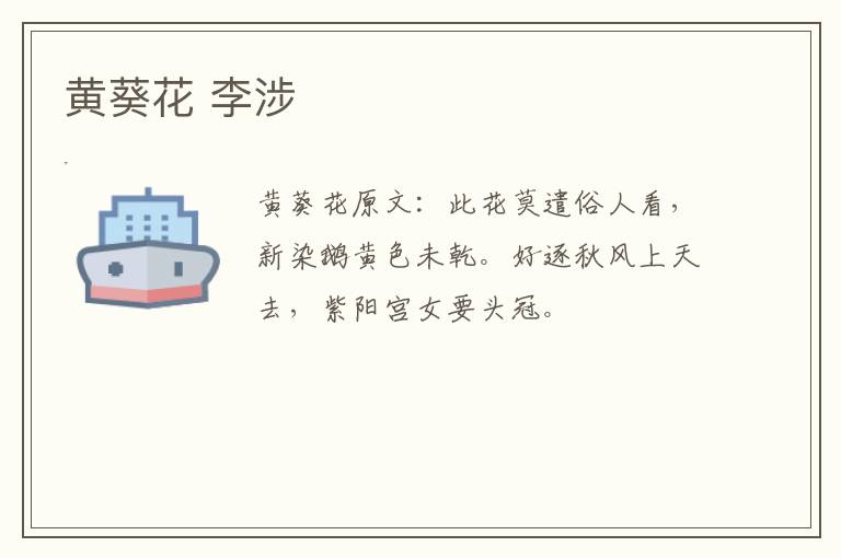 黄葵花 李涉