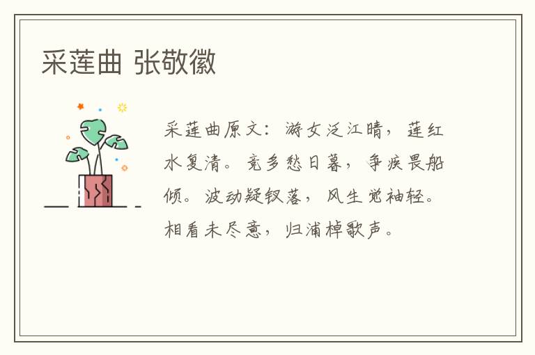 采莲曲 张敬徽