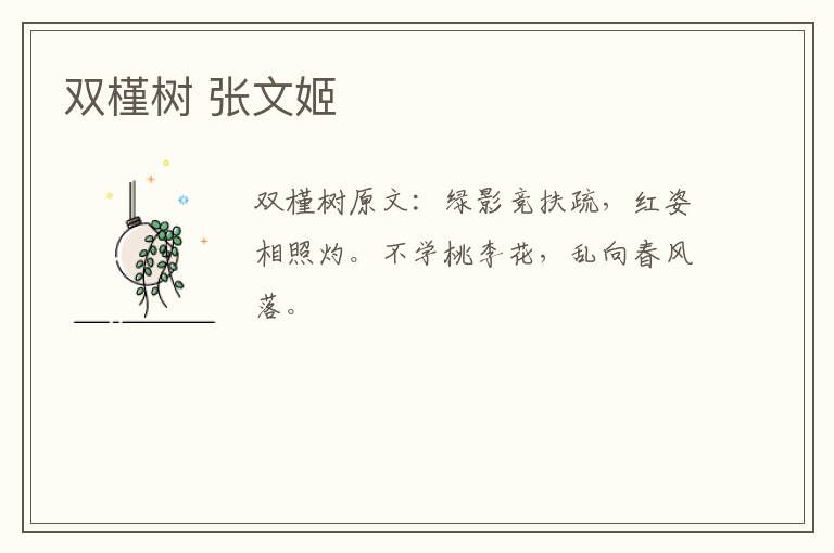 双槿树 张文姬