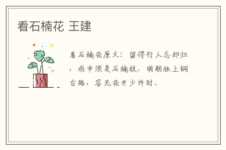 看石楠花 王建