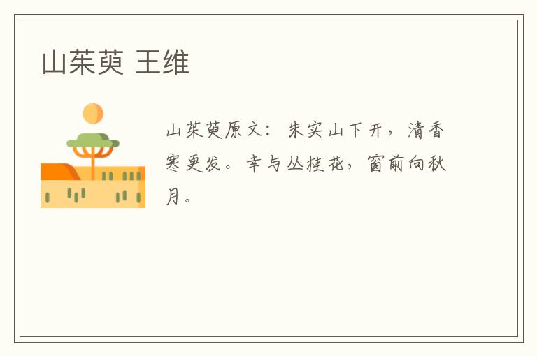 山茱萸 王维