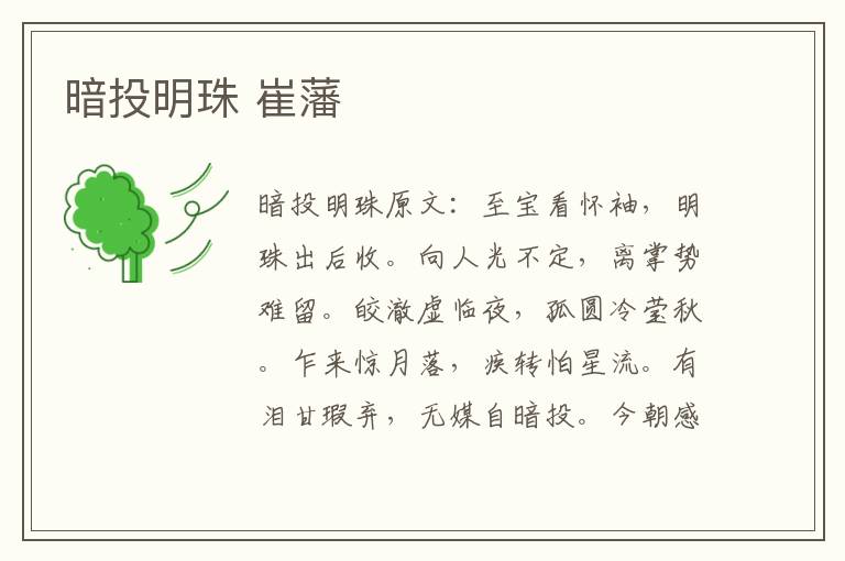 暗投明珠 崔藩