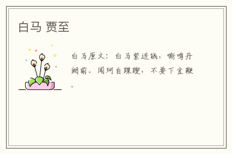 白马 贾至