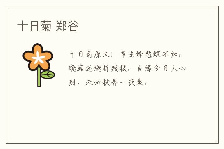 十日菊 郑谷