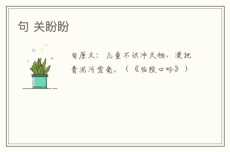 句 关盼盼