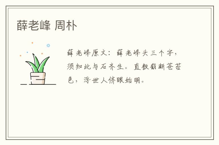 薛老峰 周朴