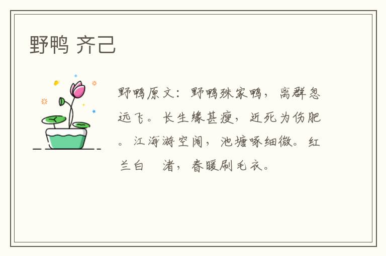 野鸭 齐己