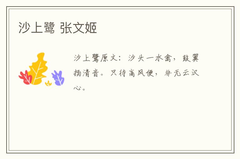 沙上鹭 张文姬
