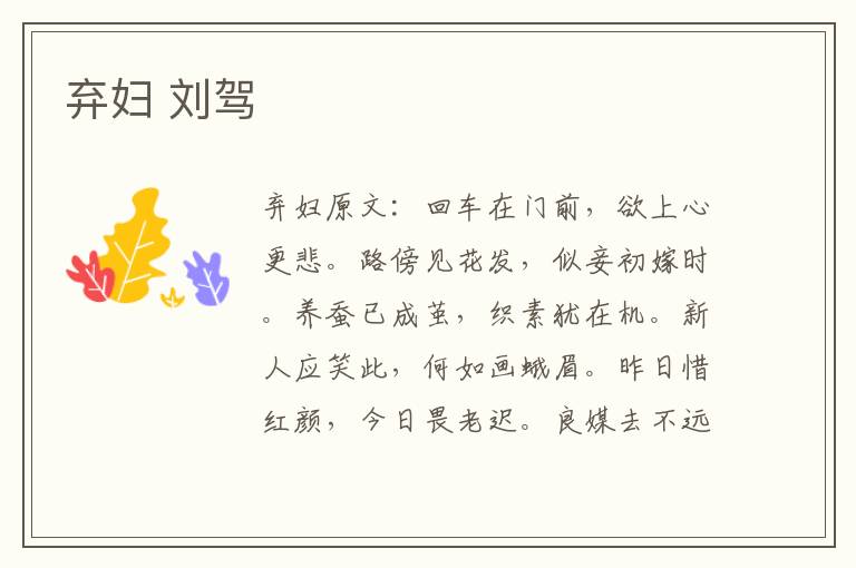 弃妇 刘驾