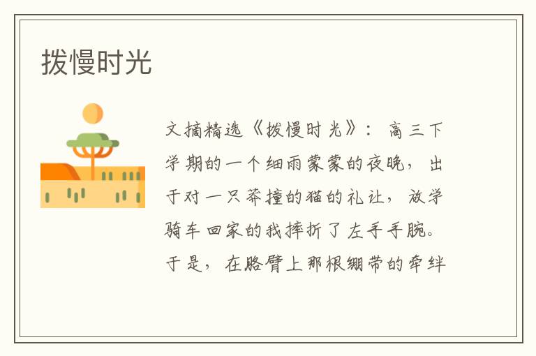 拨慢时光