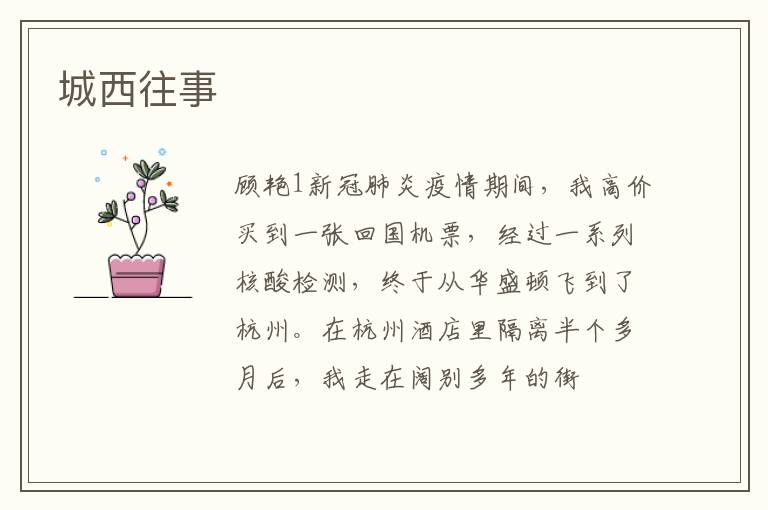 城西往事