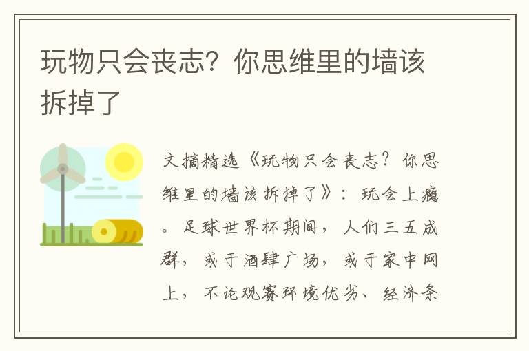 玩物只会丧志？你思维里的墙该拆掉了