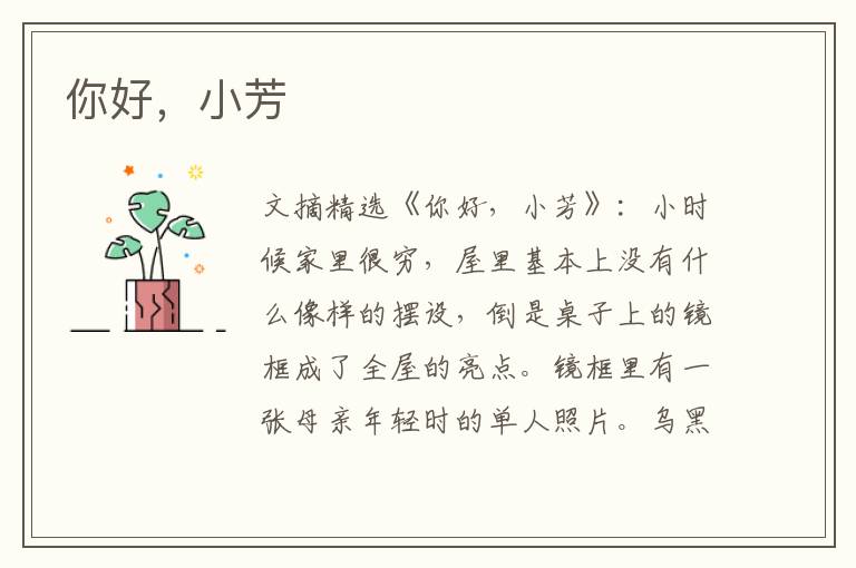 你好，小芳
