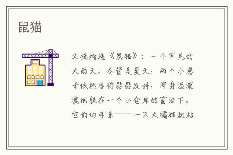 鼠猫