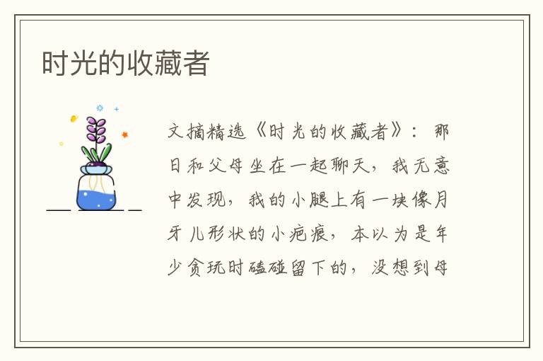 时光的收藏者