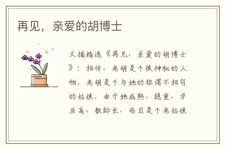 再见,亲爱的胡博士