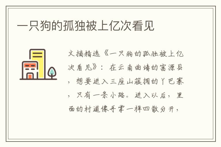 一只狗的孤独被上亿次看见