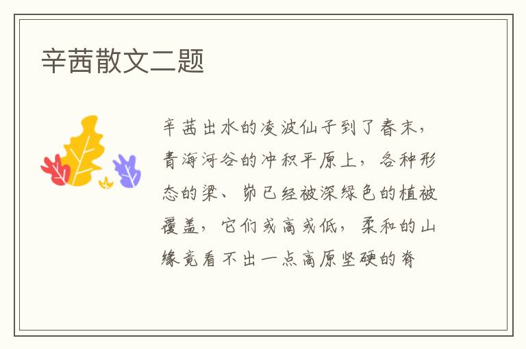 辛茜散文二题