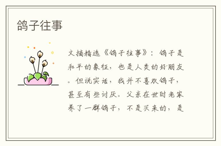 鸽子往事