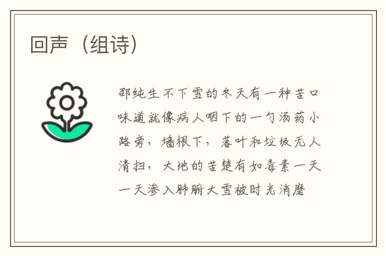 回声（组诗）