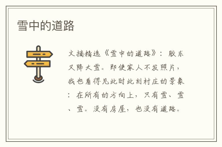 雪中的道路