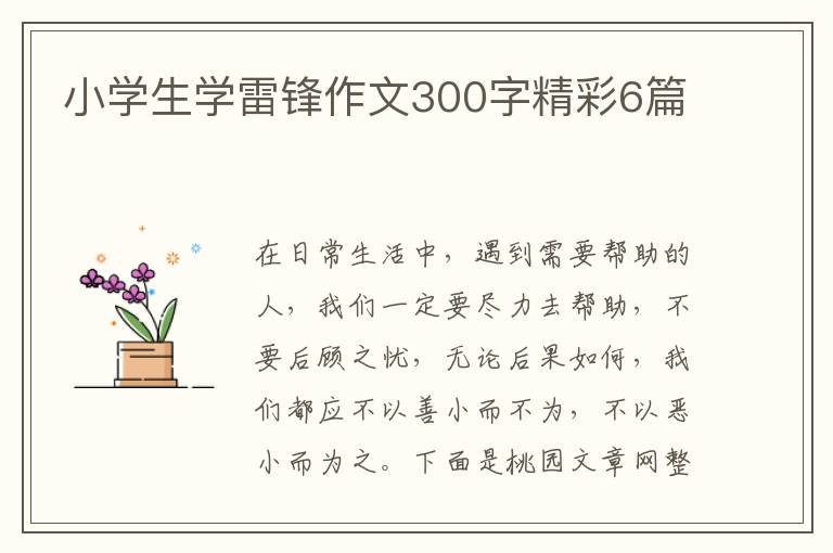 小学生学雷锋作文300字精彩6篇