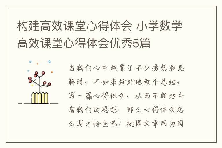 构建高效课堂心得体会 小学数学高