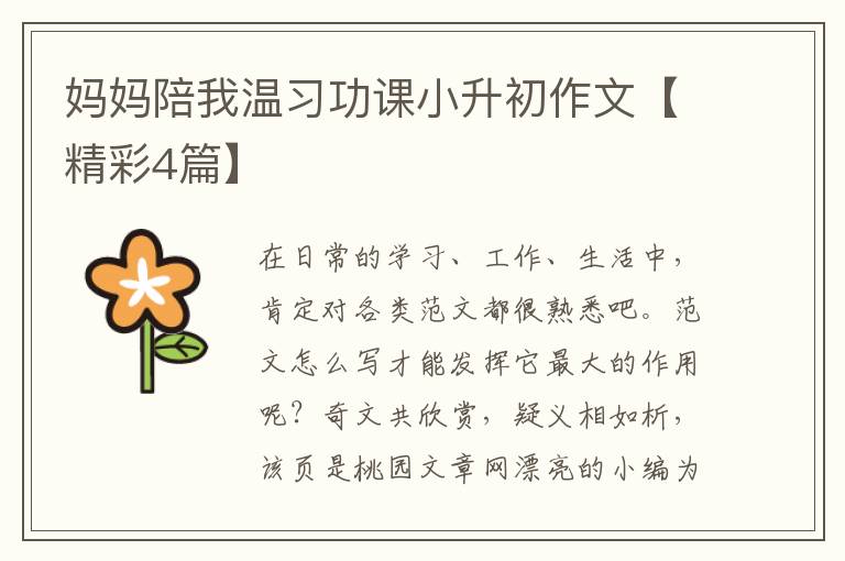 妈妈陪我温习功课小升初作文【精彩4篇】