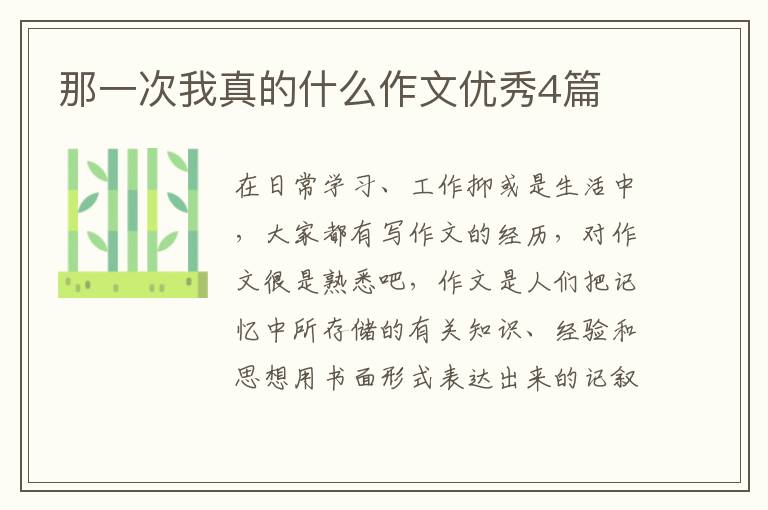 那一次我真的什么作文优秀4篇