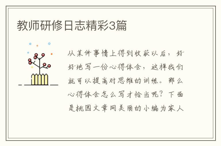 教师研修日志精彩3篇