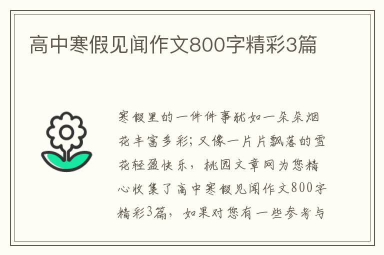 高中寒假见闻作文800字精彩3篇