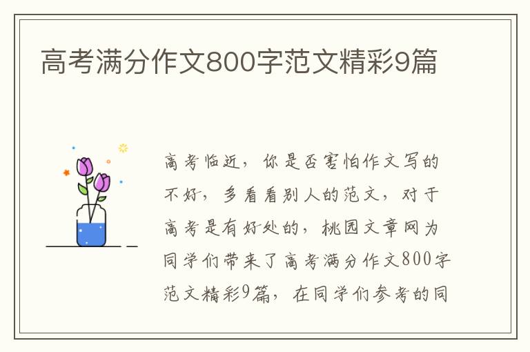 高考满分作文800字范文精彩9篇