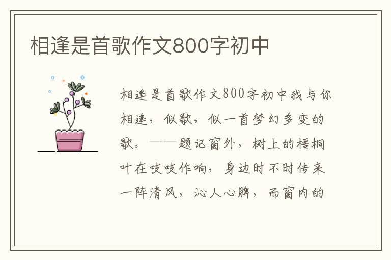 相逢是首歌作文800字初中