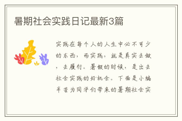 暑期社会实践日记最新3篇