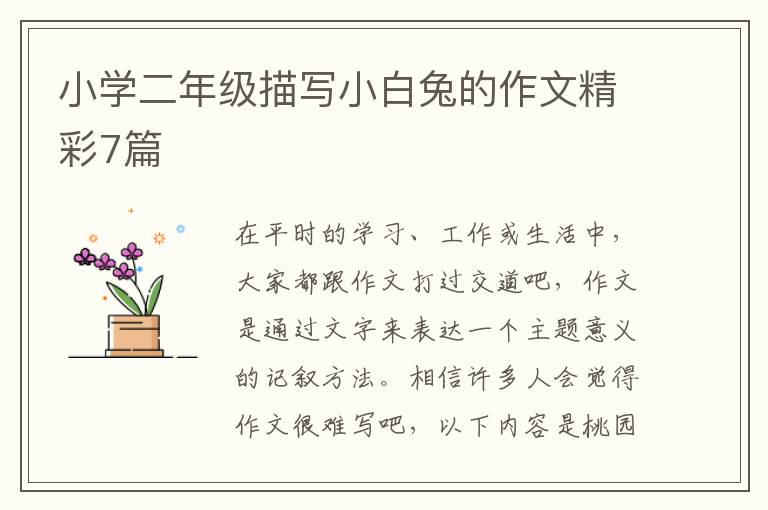 小学二年级描写小白兔的作文精彩7