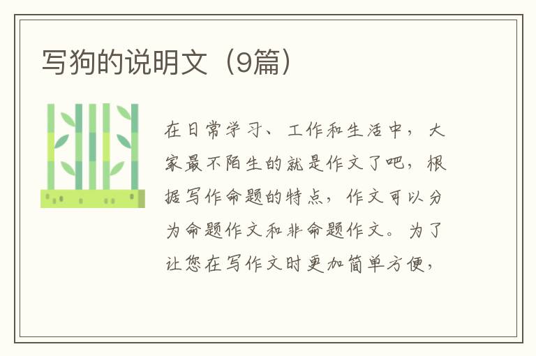 写狗的说明文(9篇)