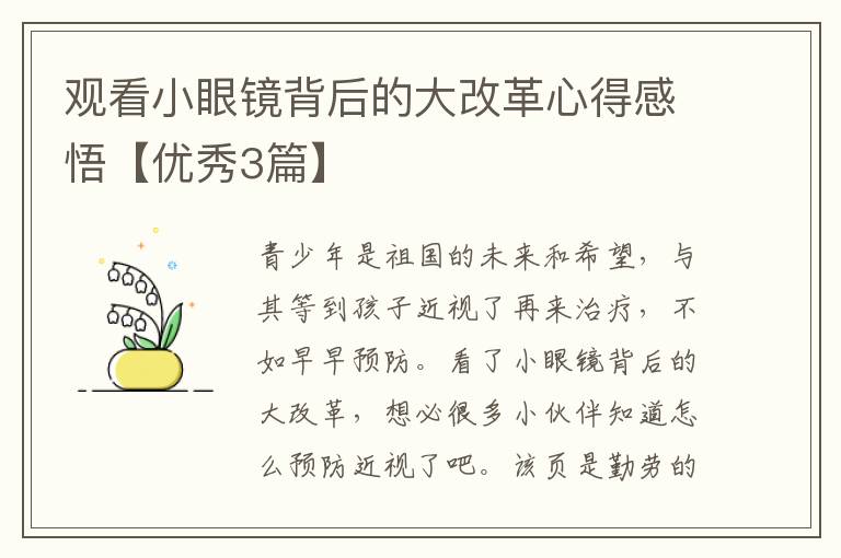 观看小眼镜背后的大改革心得感悟【