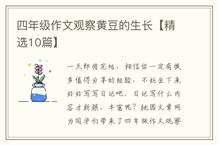四年级作文观察黄豆的生长【精选10